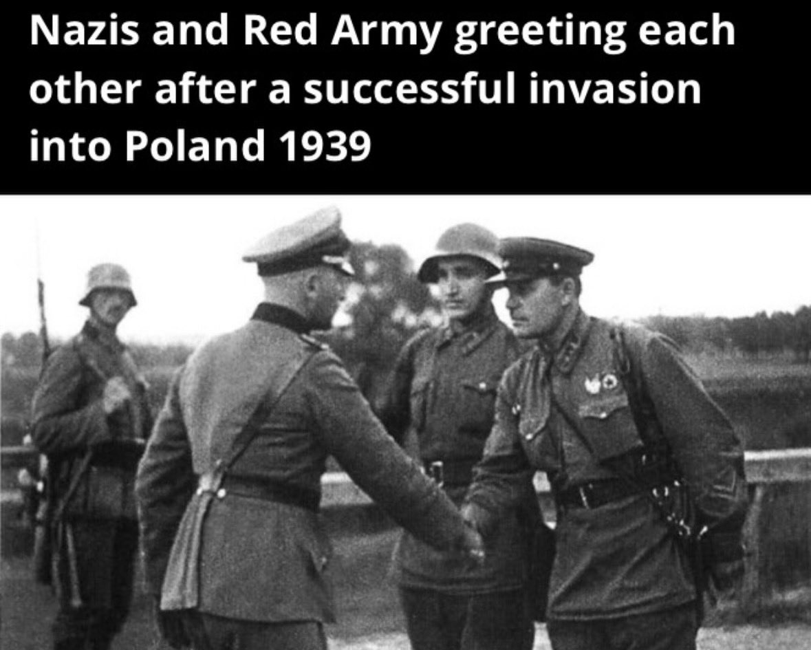 Rothmus 🏴 tweet media