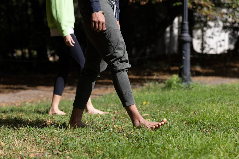 Brooklyn Public Library tweet media