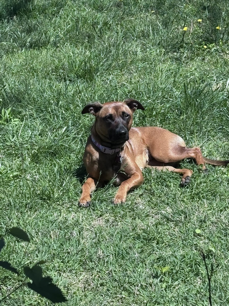 Comics And… tweet media