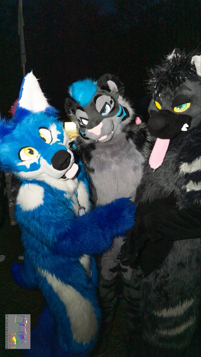Arcothewolf's tweet image. This pic had some Hangover Vibes ! @Araku_Fluff @AceFloof  #friends❤️