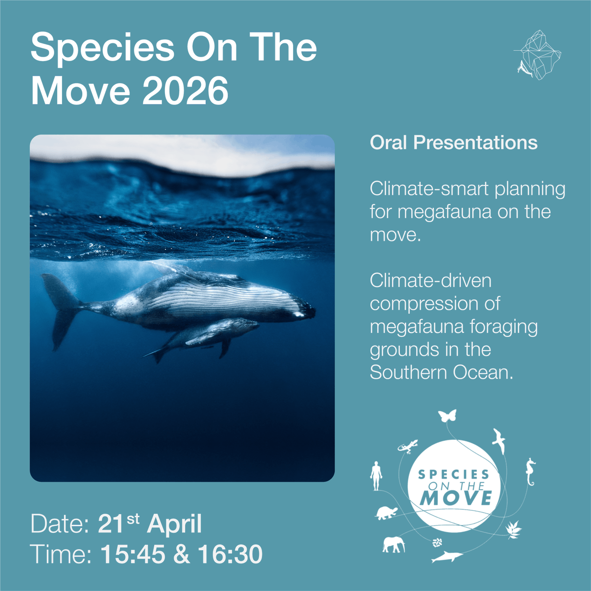 PLAnT_ERC's tweet photo. 📢 Tomorrow, @CFrazaoSantos and @Cat_PSantos will present two oral communications at the Symposium "Megafauna on the Move," as part of the SOTM2026 conference. Additionally, the conference poster session will take place.
@SpeciesOnTheMov @MAREscience @cienciasulisboa https://t.co/mHK3dYZvWl