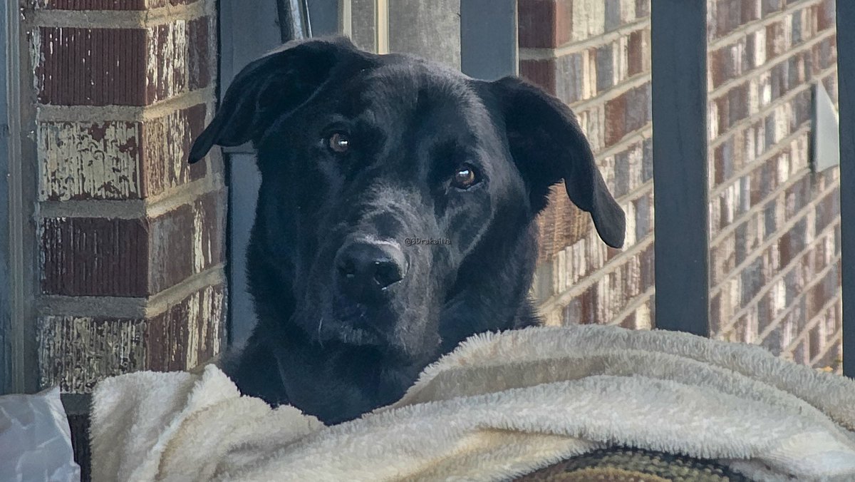 3DrakaiNa 👻 (G.A.N.G) tweet media