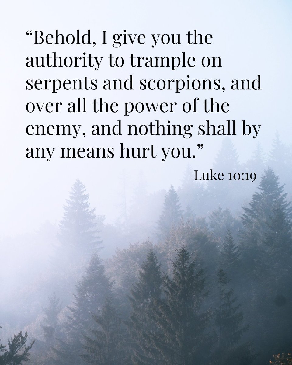 marilyn_hickey_'s tweet image. Jesus gave us authority to overcome the devil! 

#ScriptureOfTheDay #DailyScripture #Faith
