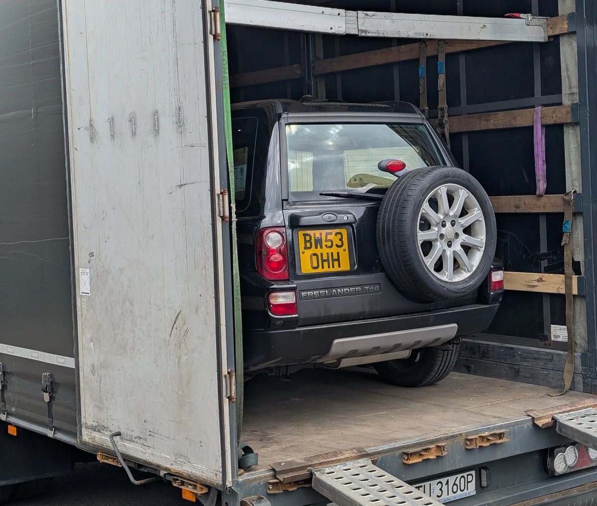 Lewis Kingston tweet media