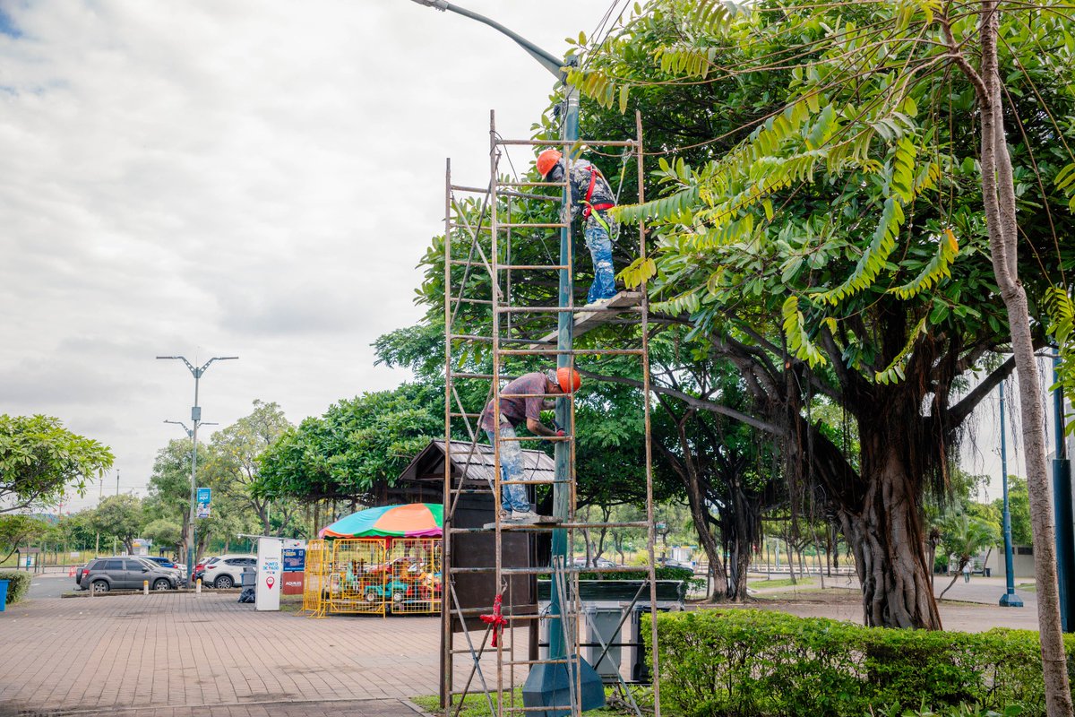 Parques EP tweet media