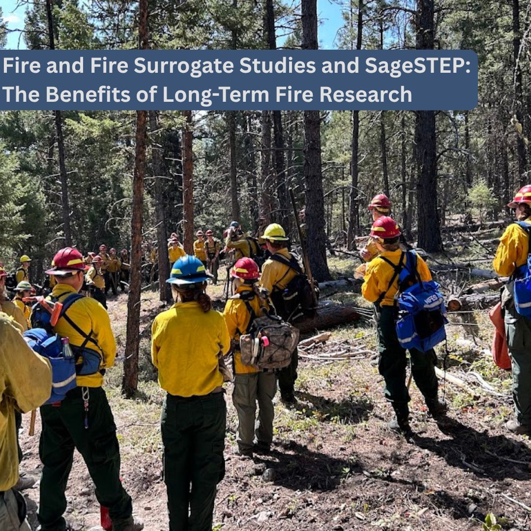 Northern Rockies Fire Science tweet media