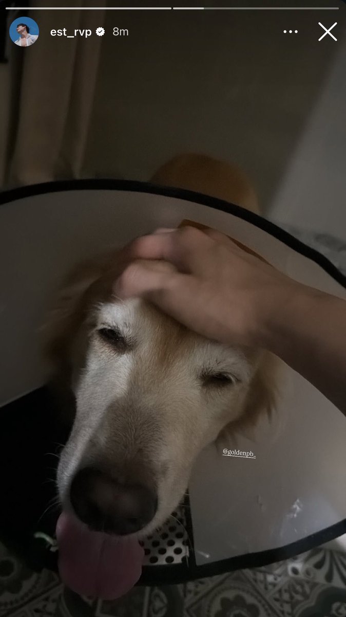 𝑛𝑎𝑛𝑎 ◡̈ tweet media