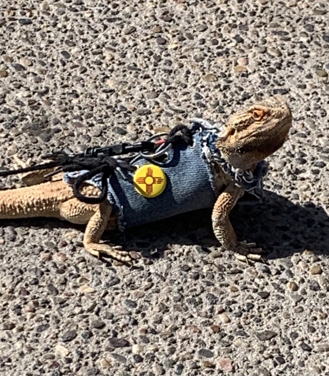 BobMoriartyABQ's tweet image. #ABQ #NM 
Uniquely different. And, that’s a good thing.