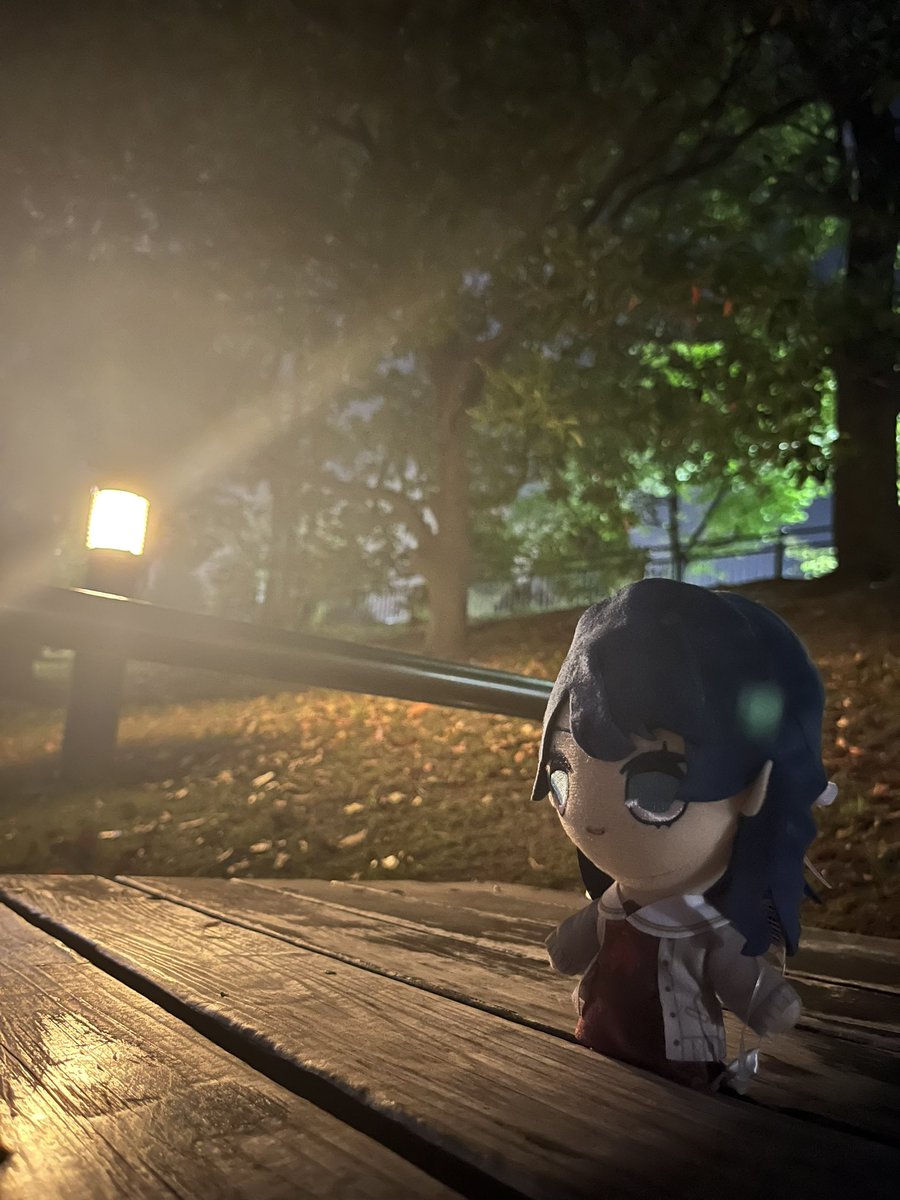 リトルデーモンとり🕊️/ニャオシグニャル tweet media