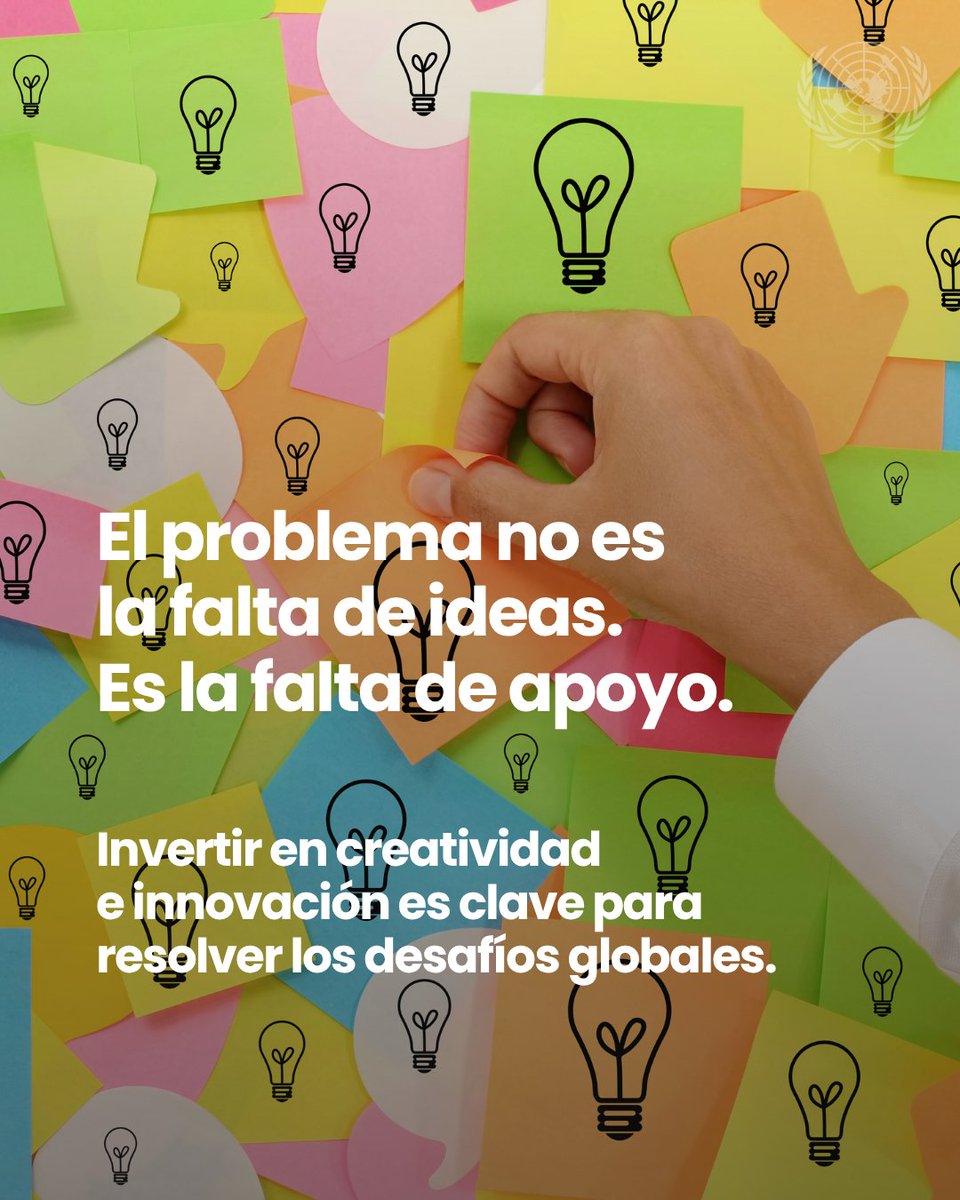 Naciones Unidas tweet media