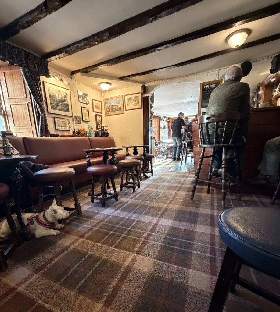 Brendan Porath tweet media