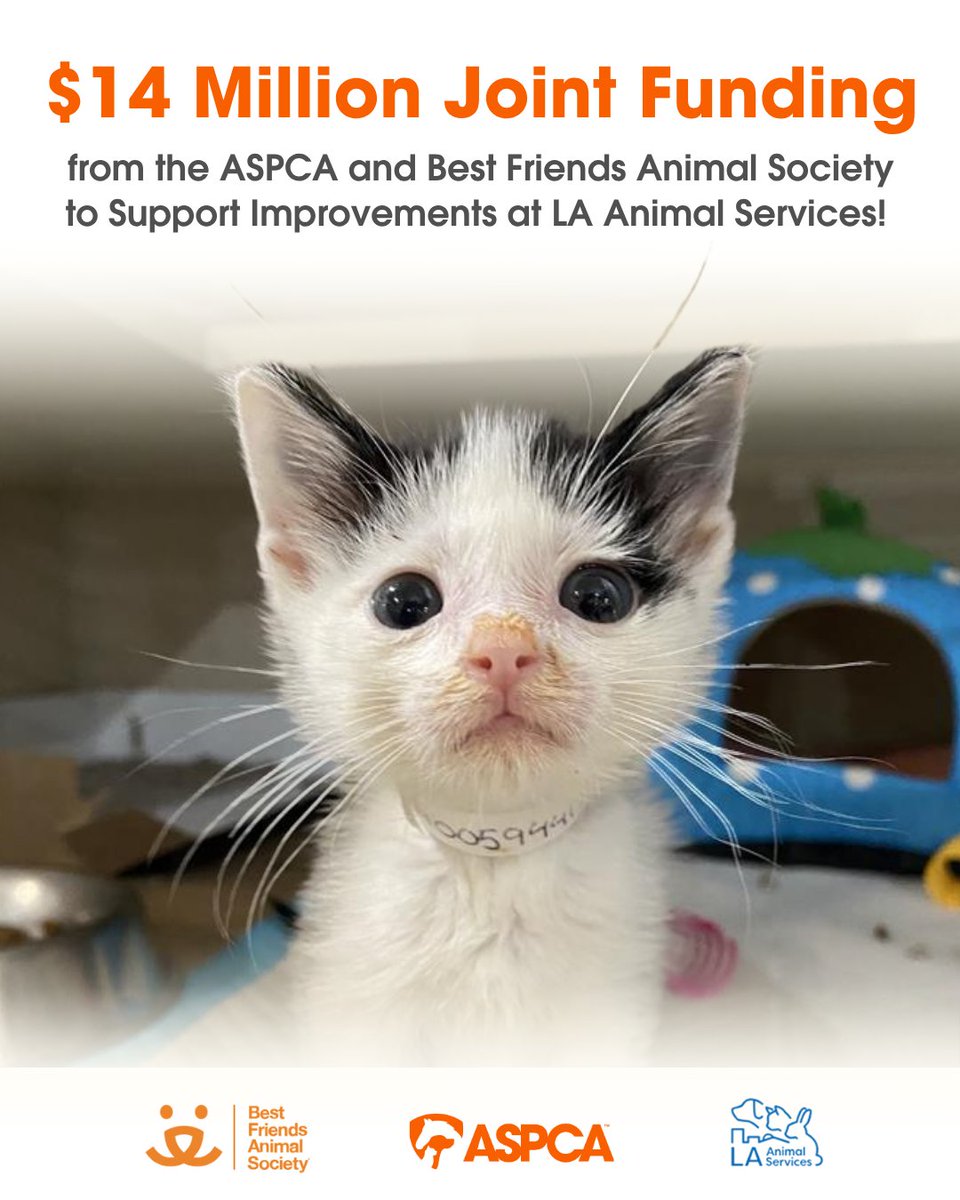 ASPCA tweet media