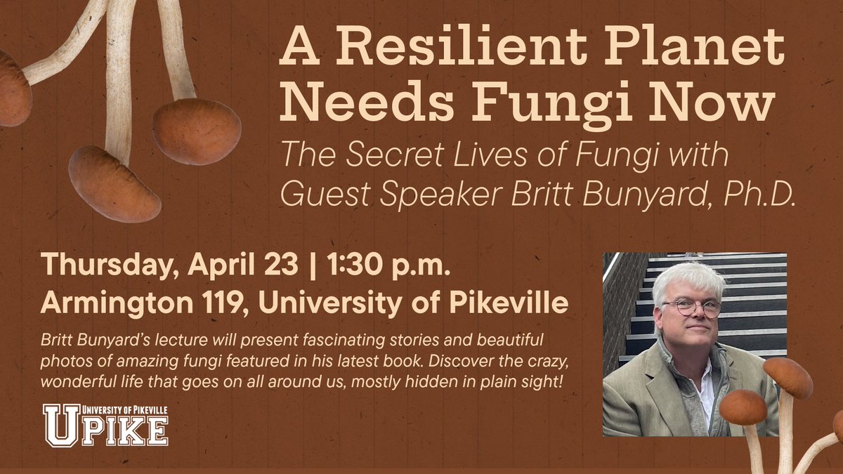 UPIKE 🐻 tweet media