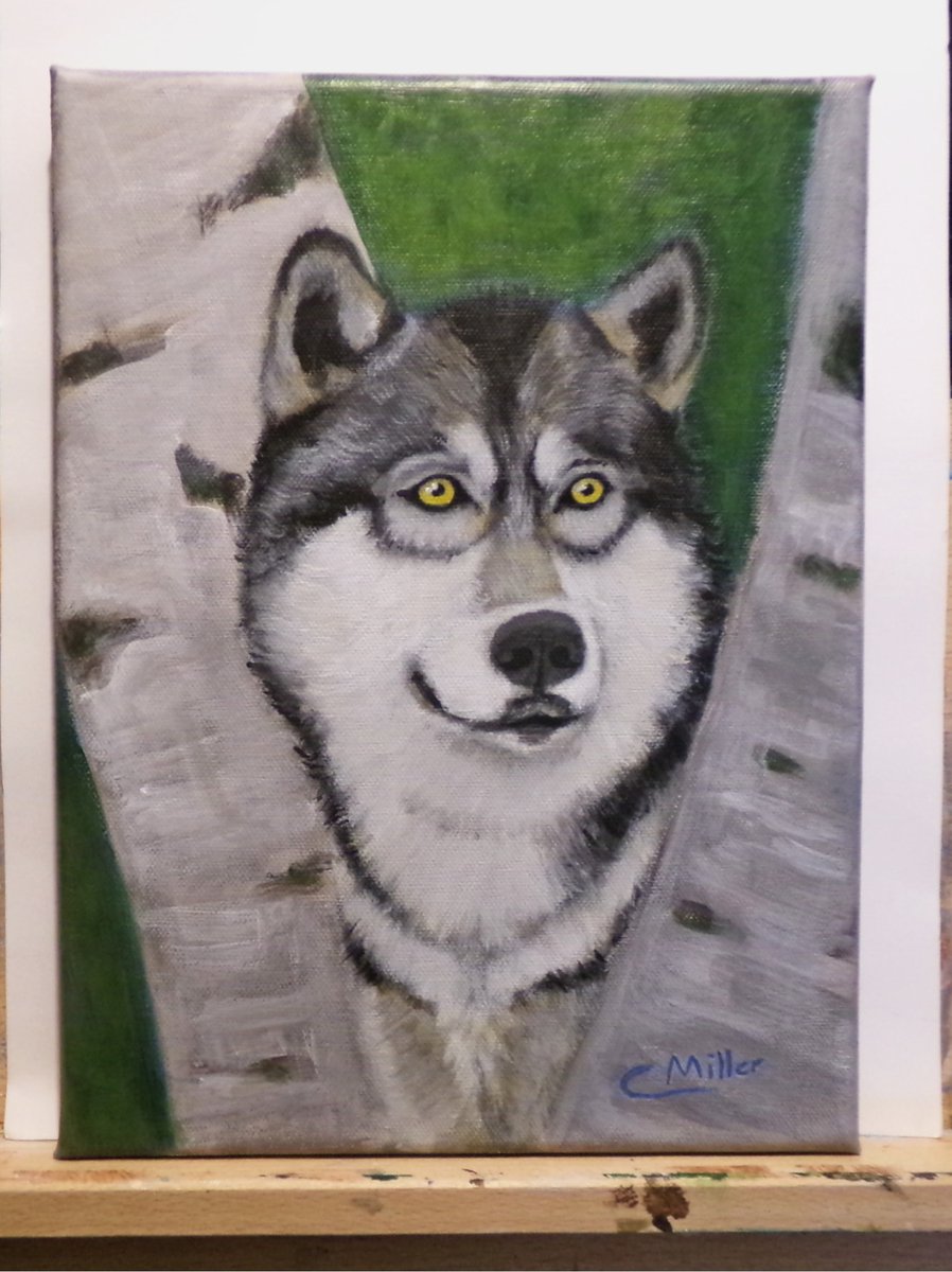 CMiller_Artist's tweet image. Wolf and birch tree painting for sale. #Art #Dogs #wildlife See ebay link below.