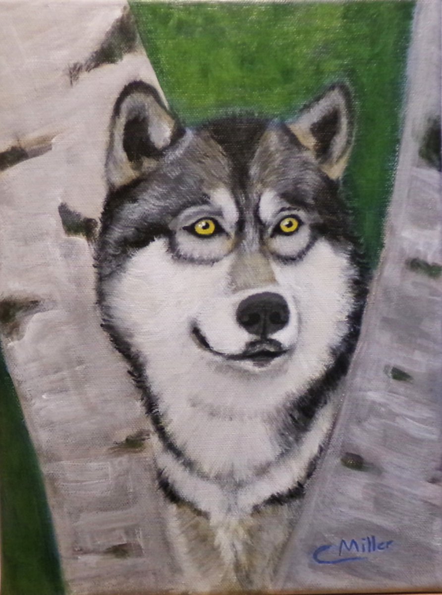 CMiller_Artist's tweet image. Wolf and birch tree painting for sale. #Art #Dogs #wildlife See ebay link below.