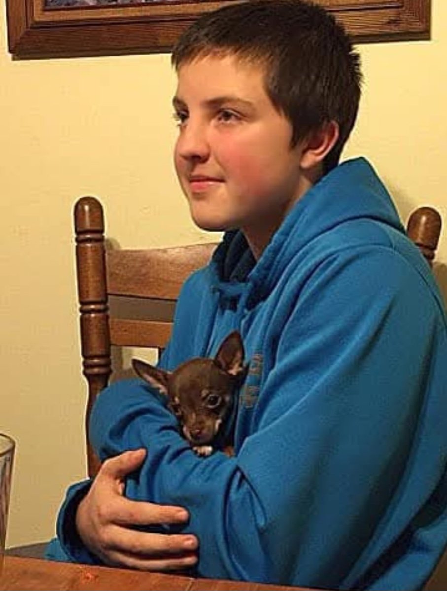 Answers4Sean 🇨🇦 tweet media