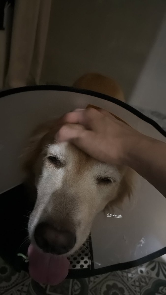 WILLIAMEST OFFICIAL tweet media