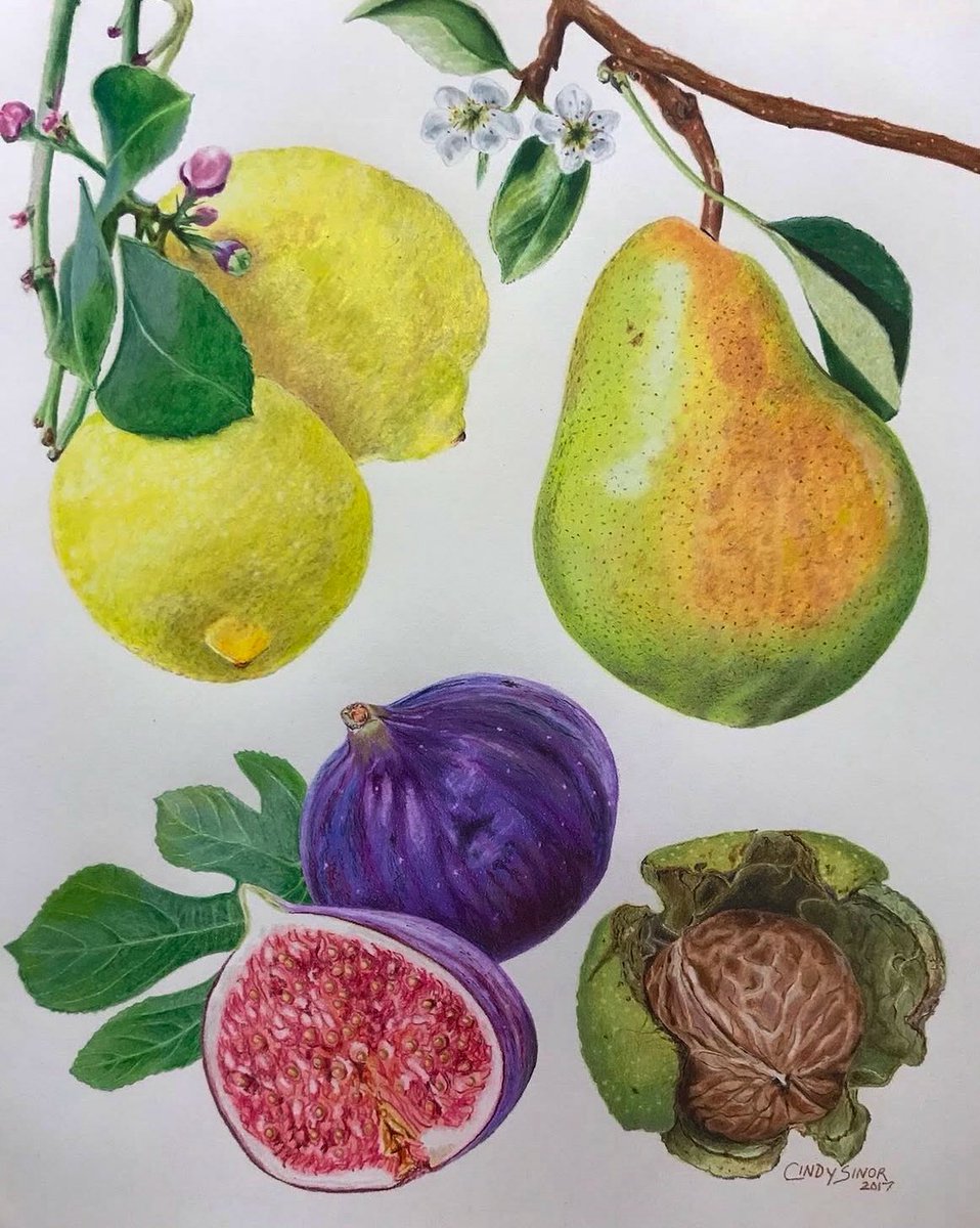 they call me Pencils tweet media