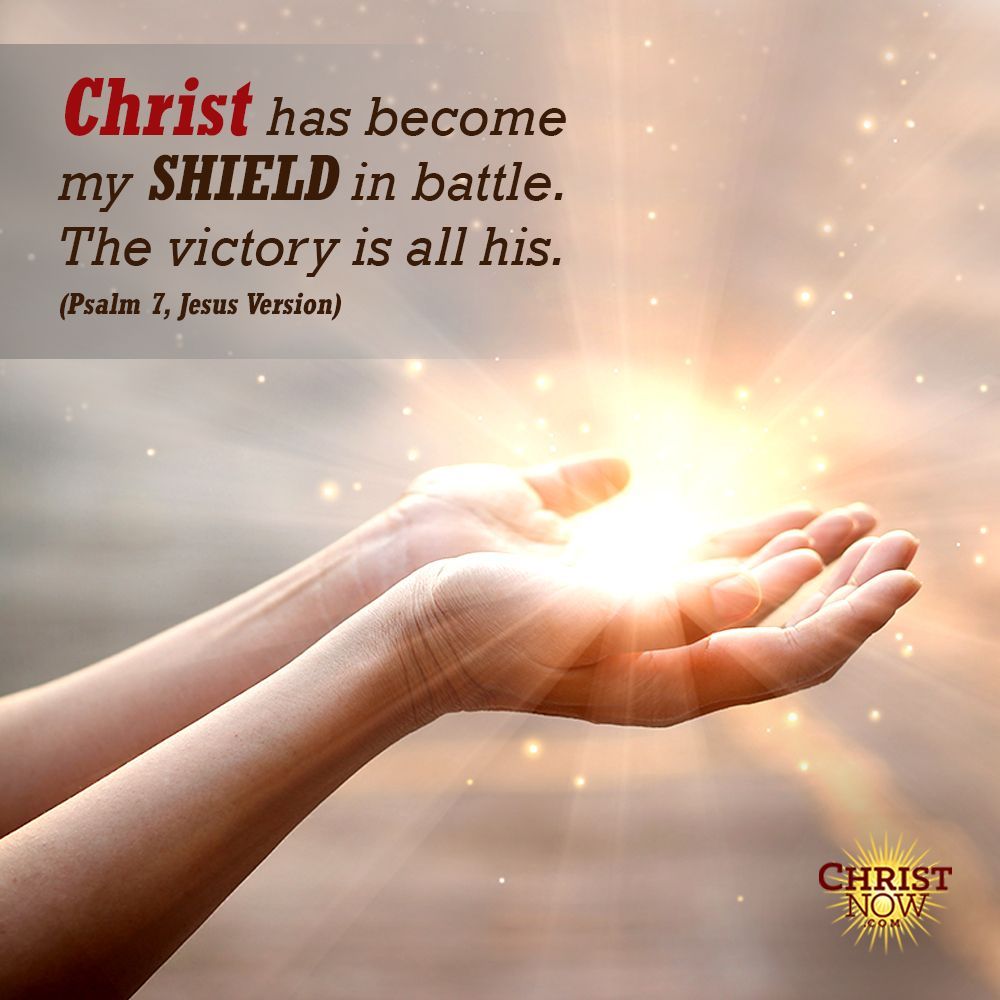 ChristNowOnline's tweet image. Christ has become my 𝐒𝐇𝐈𝐄𝐋𝐃 in battle. The victory is all his. 

#jesus #christ #christian #god #glory