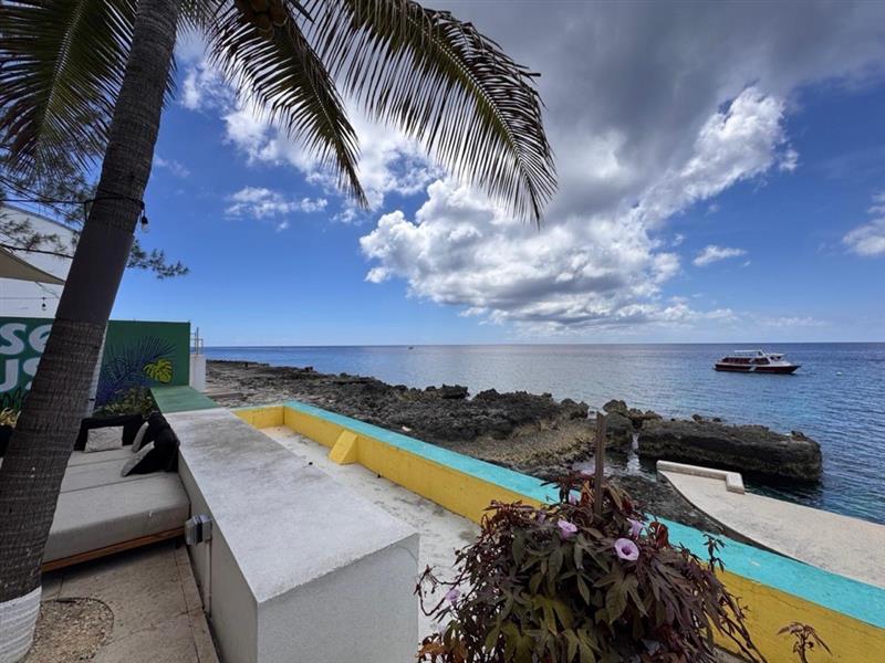 Formidium tweet media