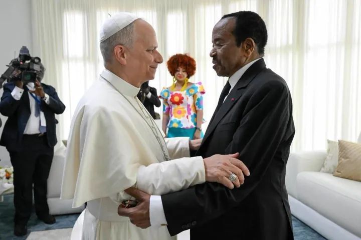 MMI News tweet media