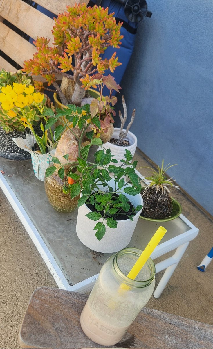 Peace Love Rainbows ☮💙🌈 tweet media