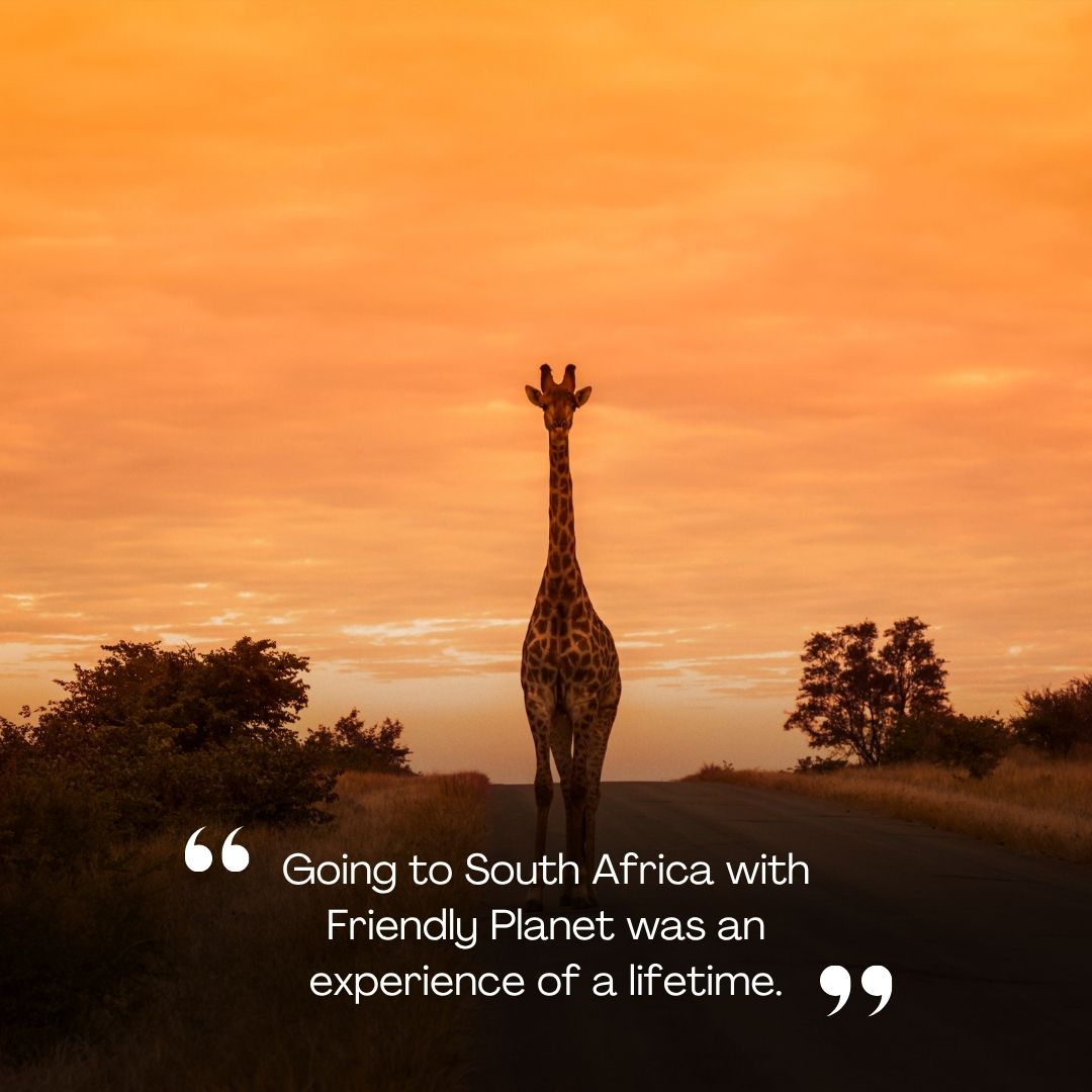 FriendlyPlanetTravel tweet media