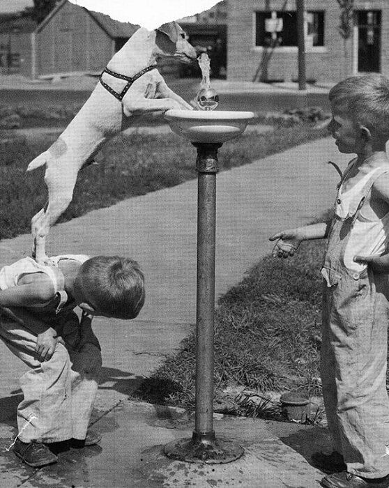 Chlodnyodcien's tweet image. Harris W. Nowell, 
Hot Summer of 1938, 
Milwaukee, Wisconsin, USA
#childhood