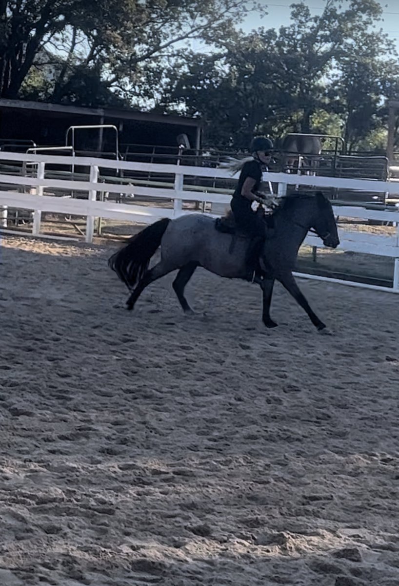 PepitaCorona's tweet image. I never comment or post  #negative vibes but 2day I’ll make an exemption,why people 🧐#unkindtoeachother wanted to visit a 🐎named “Chito”I used 2volunteer 🐎 #equinevolunteer in Argyle, owner replied unfriendly..

I ride him because he’s always there Alone. #horse #horselove ♥️