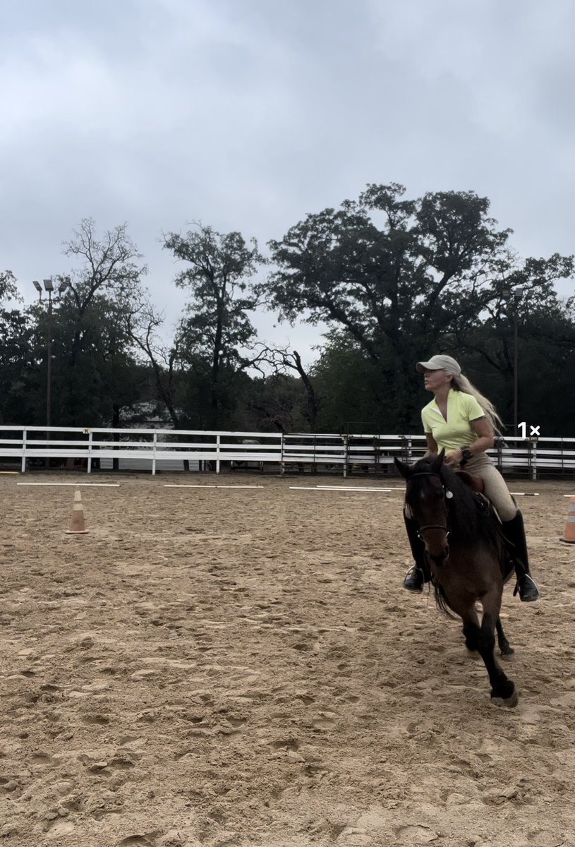 PepitaCorona's tweet image. I never comment or post  #negative vibes but 2day I’ll make an exemption,why people 🧐#unkindtoeachother wanted to visit a 🐎named “Chito”I used 2volunteer 🐎 #equinevolunteer in Argyle, owner replied unfriendly..

I ride him because he’s always there Alone. #horse #horselove ♥️