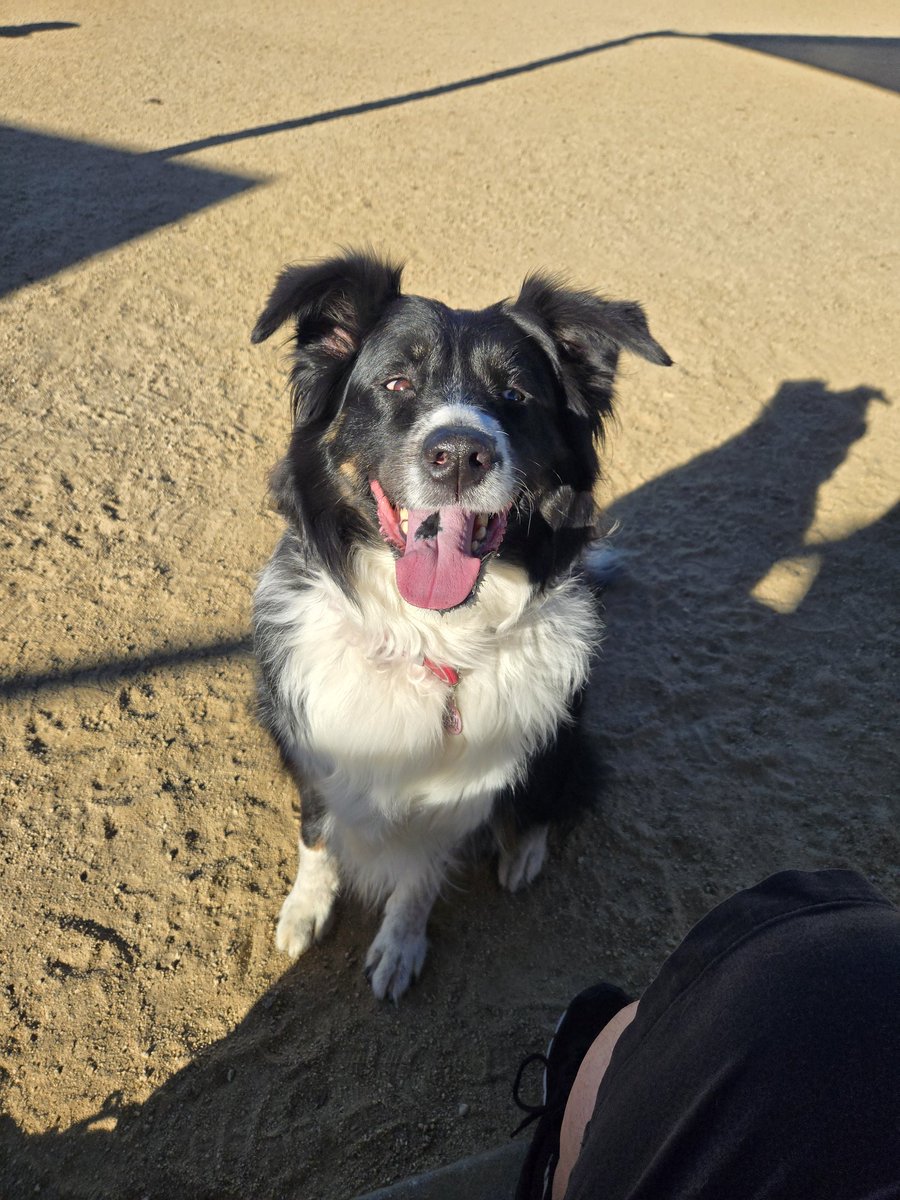 🖕 🧊 MFs tweet media