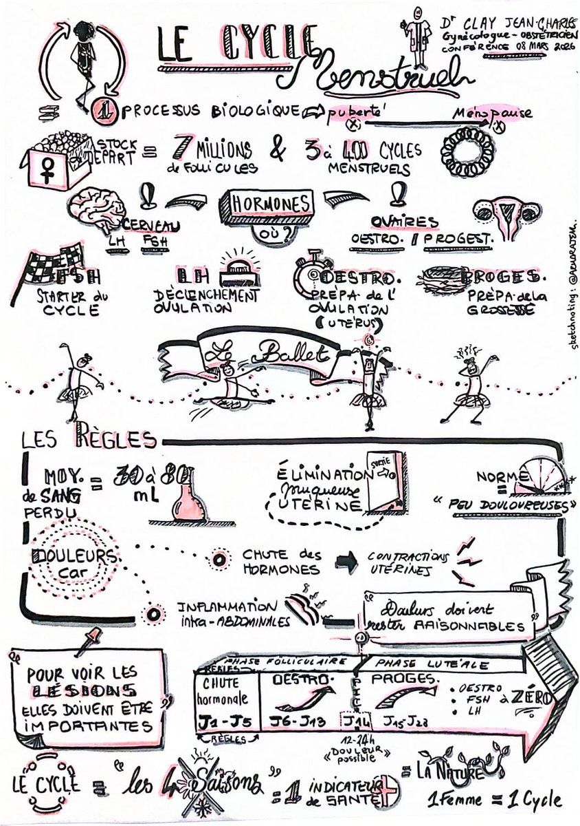 FEnM972's tweet photo. 🎗️💛 COMPRENDRE SON CYCLE, C’EST COMPRENDRE L’ENDOMÉTRIOSE💛🎗️

La Filière Endométriose de Martinique (FEnM) est fière de vous présenter une autre manière de démocratiser l’information en santé :
👉 le sketchnoting ✍🏾 https://t.co/jb2K9bCFqL