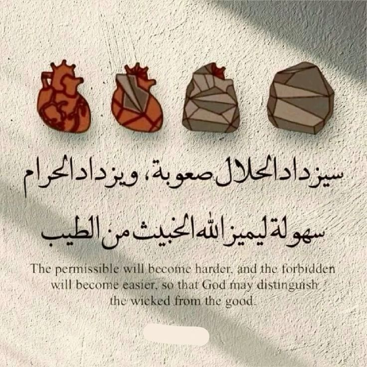 haidymaged98's tweet photo. https://t.co/wXwF3yWD0K