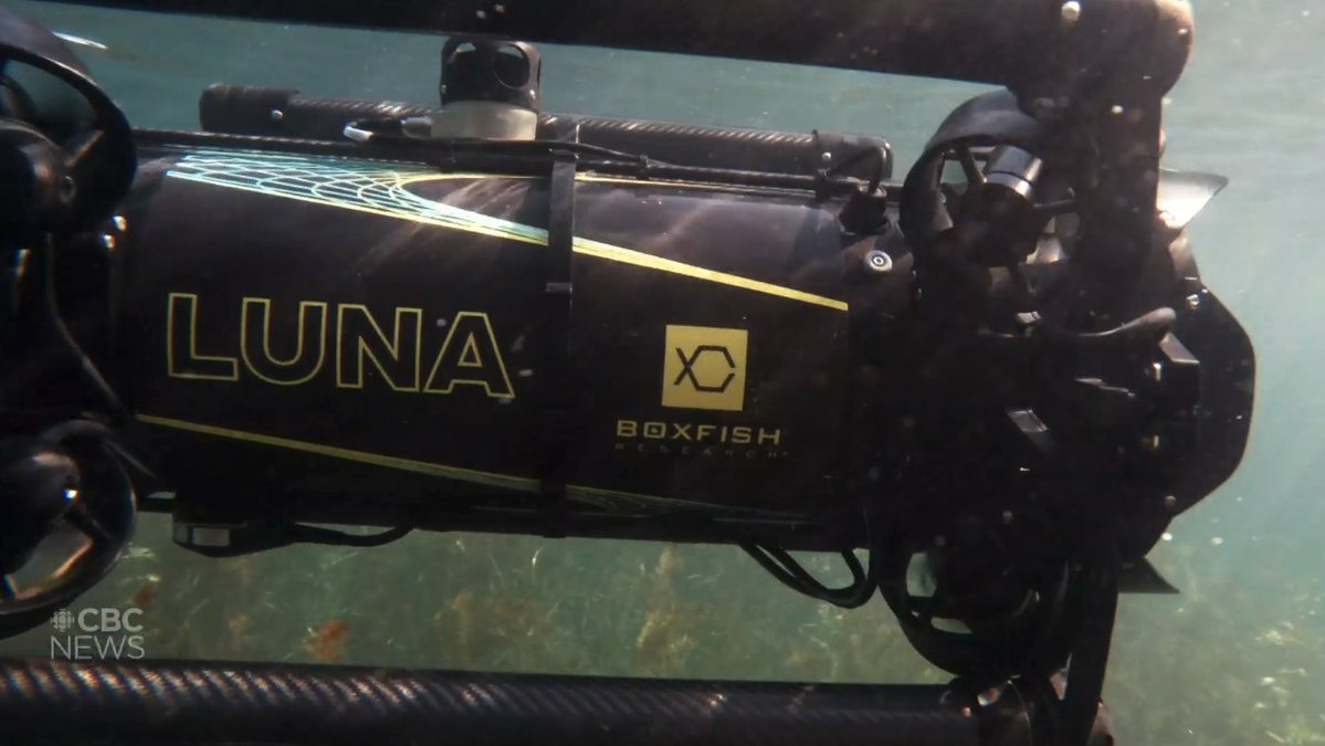 OODMag's tweet image. Fish school around cooling outflow from Bruce Nuclear Generating Station into Lake Huron. Documentary filmmakers get a close look to promote “Hidden Below: the Great Lakes” ahead of Earth Day.
cbc.ca/news/science/f…
#Fishing #Outdoors #Ontario #LakeHuron #GreatLakes #EarthDay