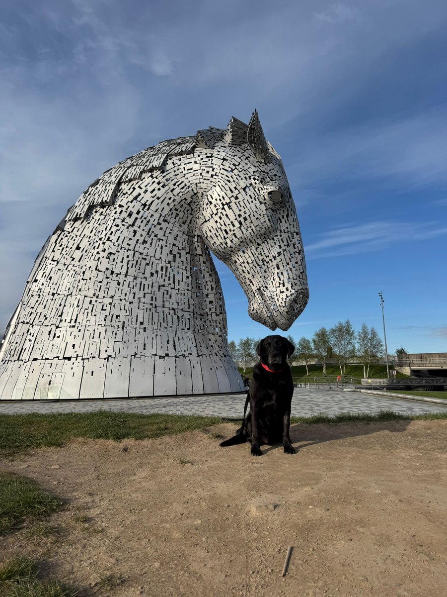 Retired Police Dogs Merseyside tweet media