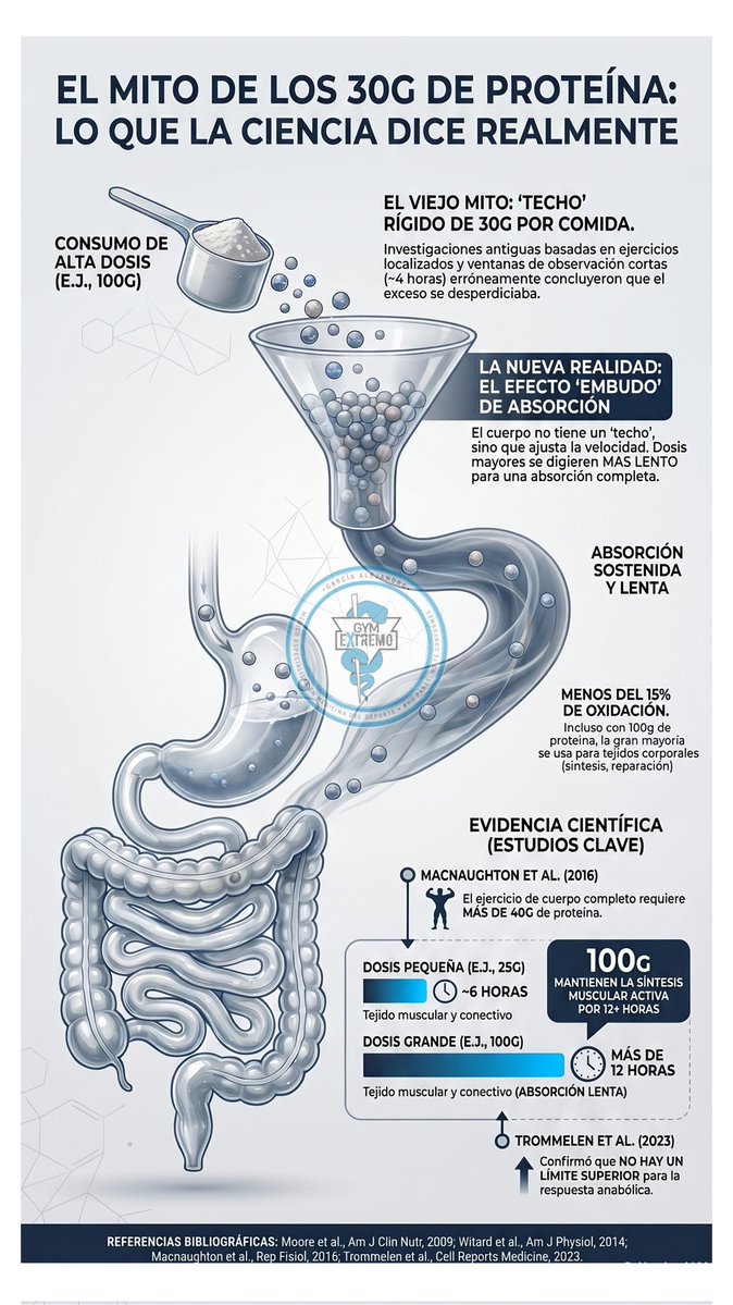 ¿Cuanta proteína podemos consumir por comida?