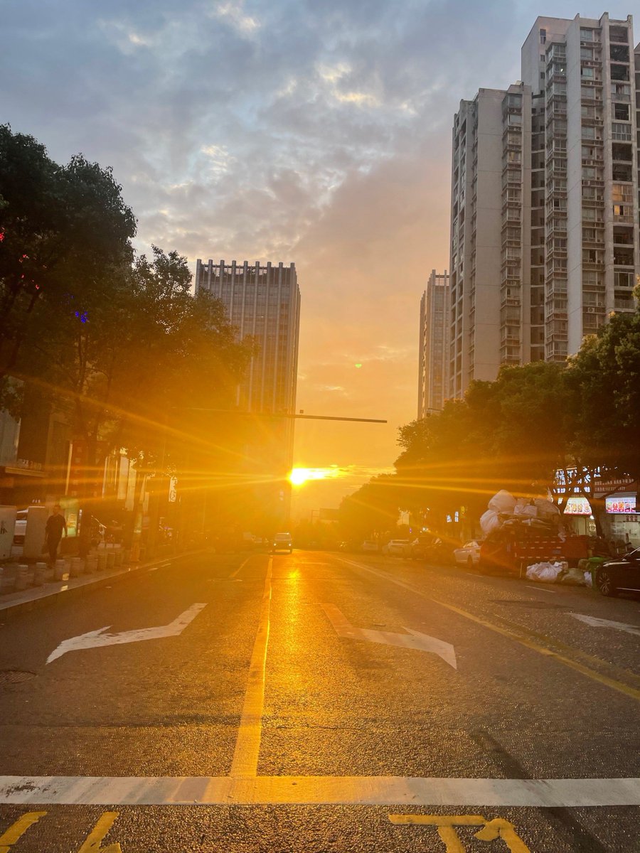 Daniel Lambertz tweet media