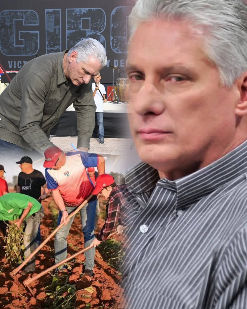 Muchas felicidades para nuestro Presidente <a href="/DiazCanelB/">Miguel Díaz-Canel Bermúdez</a> en su cumpleaños. 
Un abrazo Revolucionario.
#YoSigoAMiPresidente  #CubaEstáFirme #CubaEsAmor