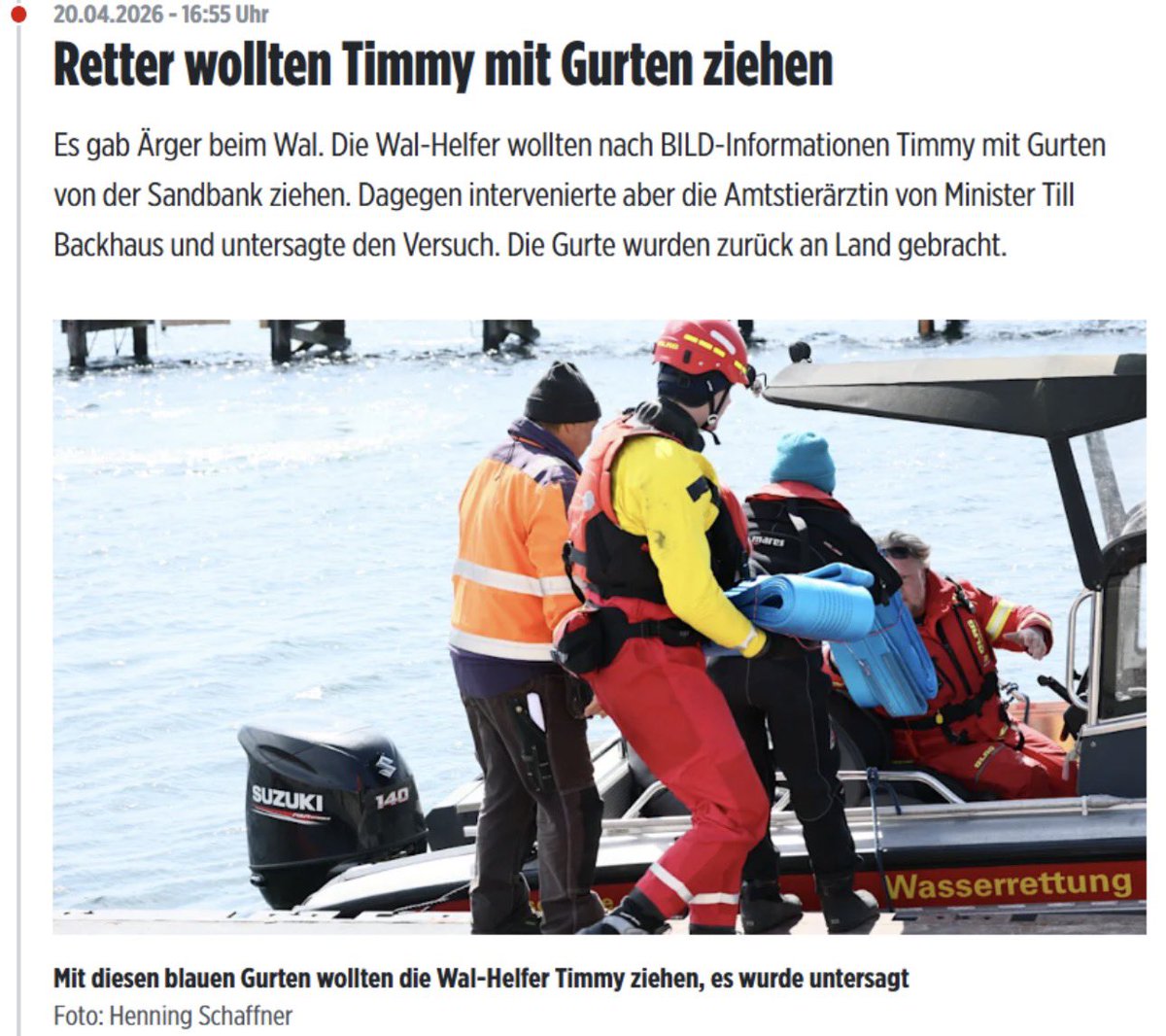 bordeauxrot tweet media