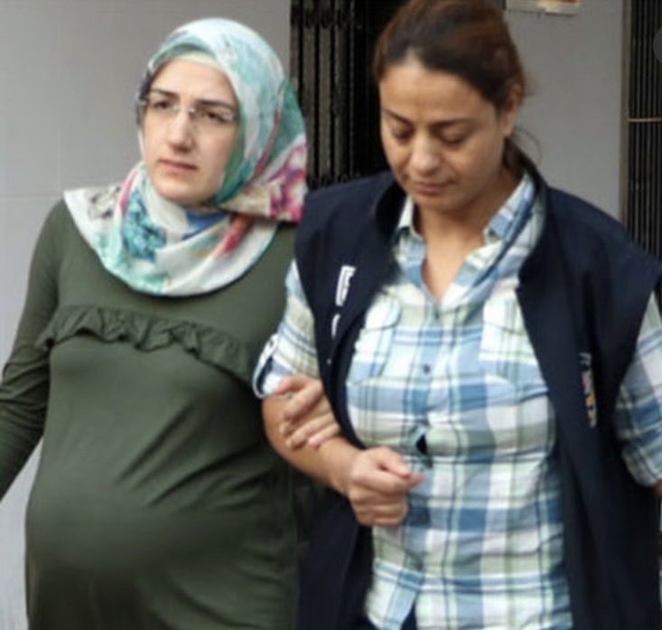 Yücel gökçe tweet media