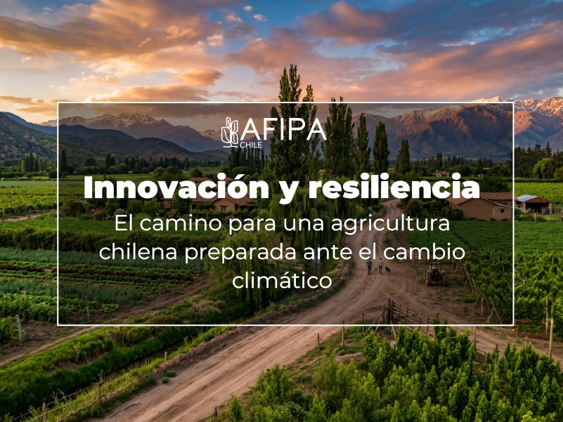 Afipa A.G. tweet media