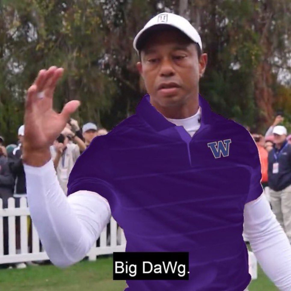 All Dawg ☔️ tweet media