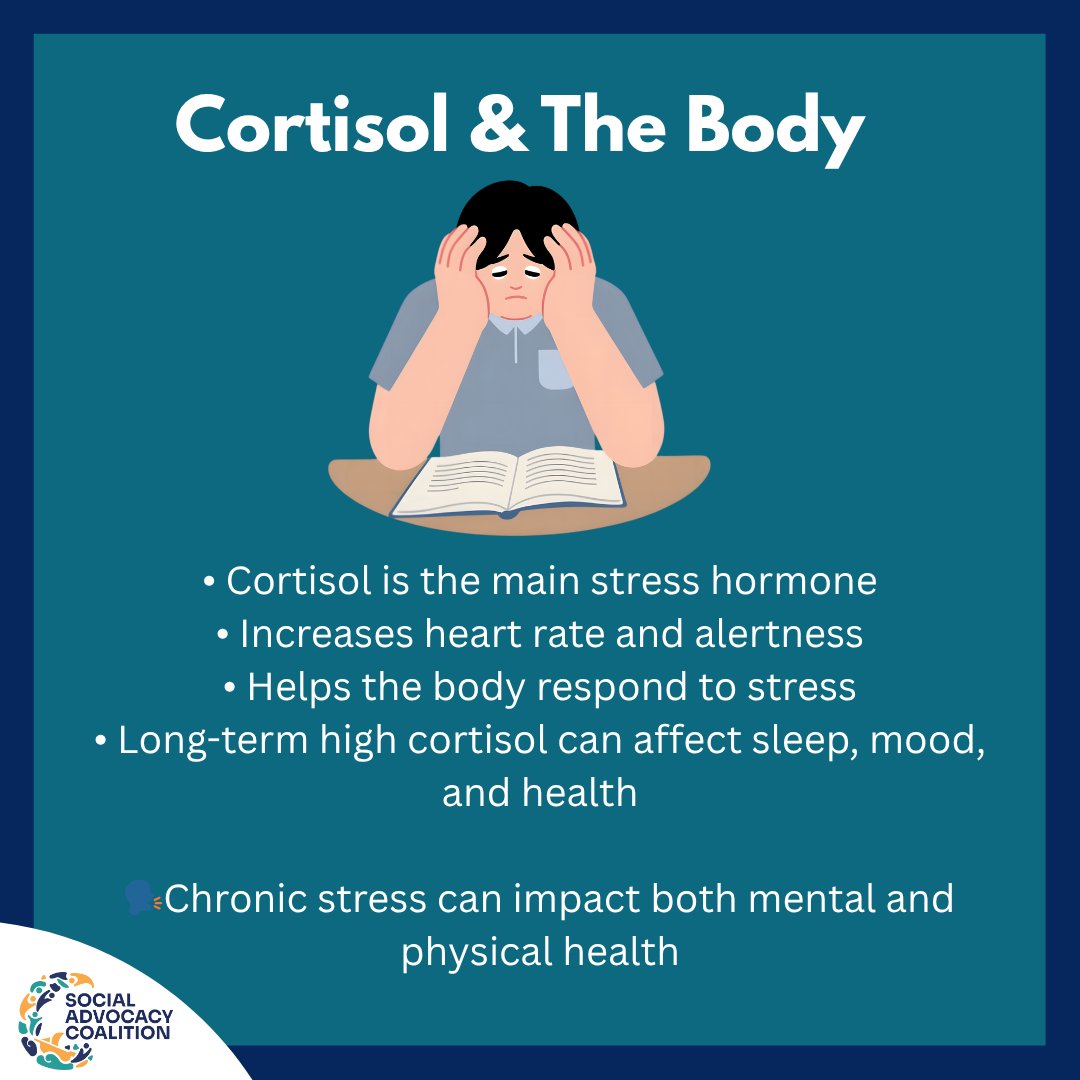 Social Advocacy Coalition tweet media