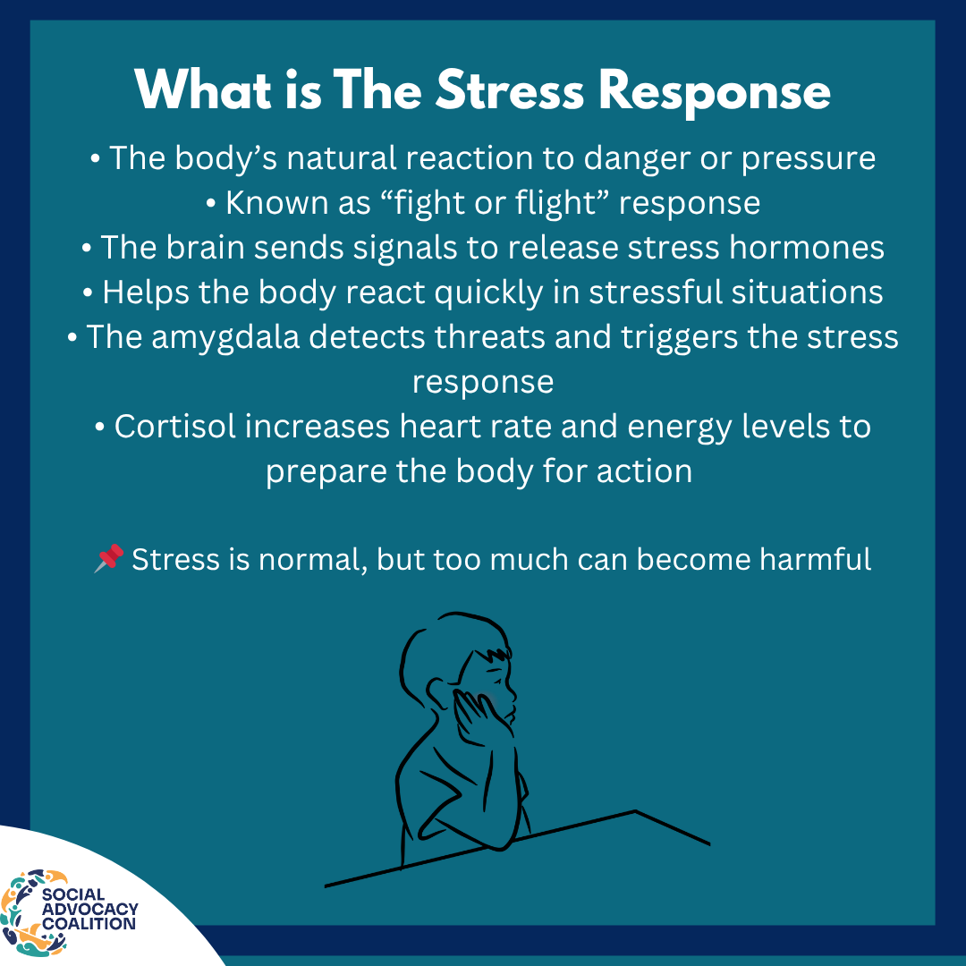 Social Advocacy Coalition tweet media