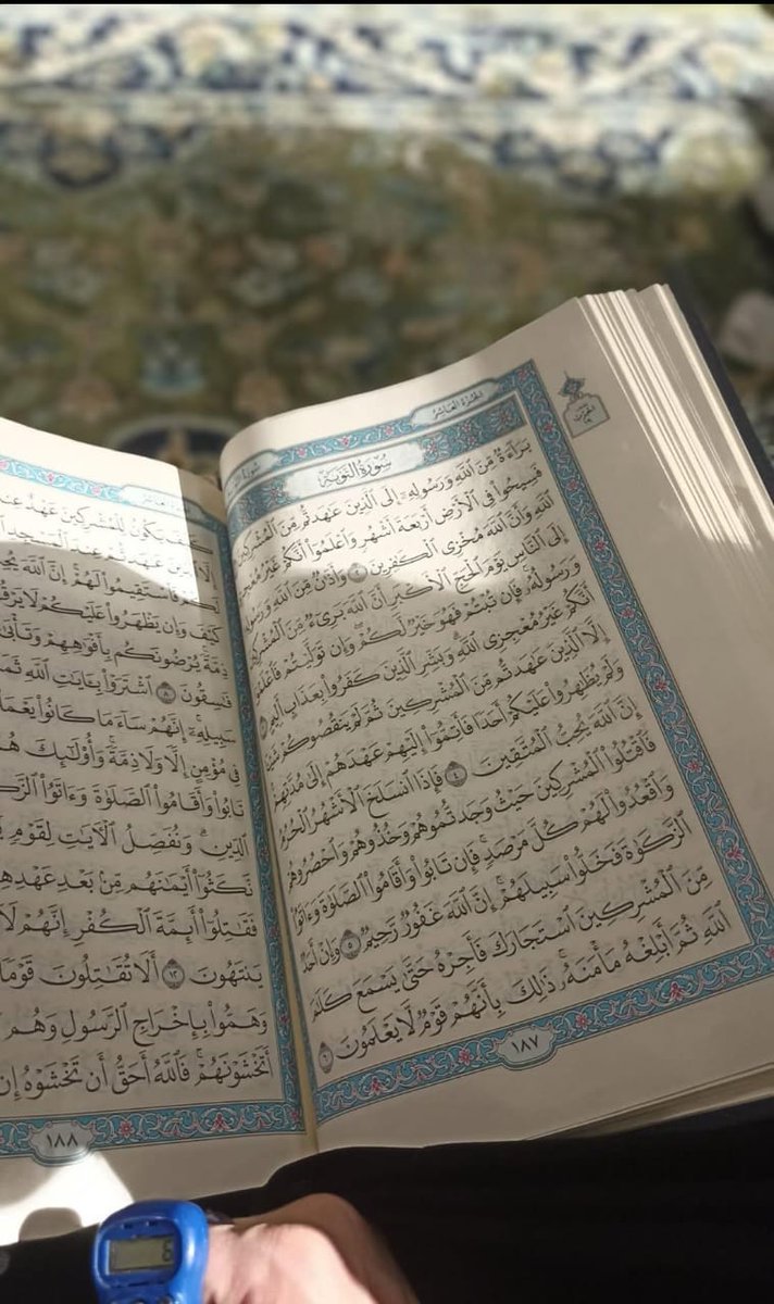 انثى راقيه tweet media