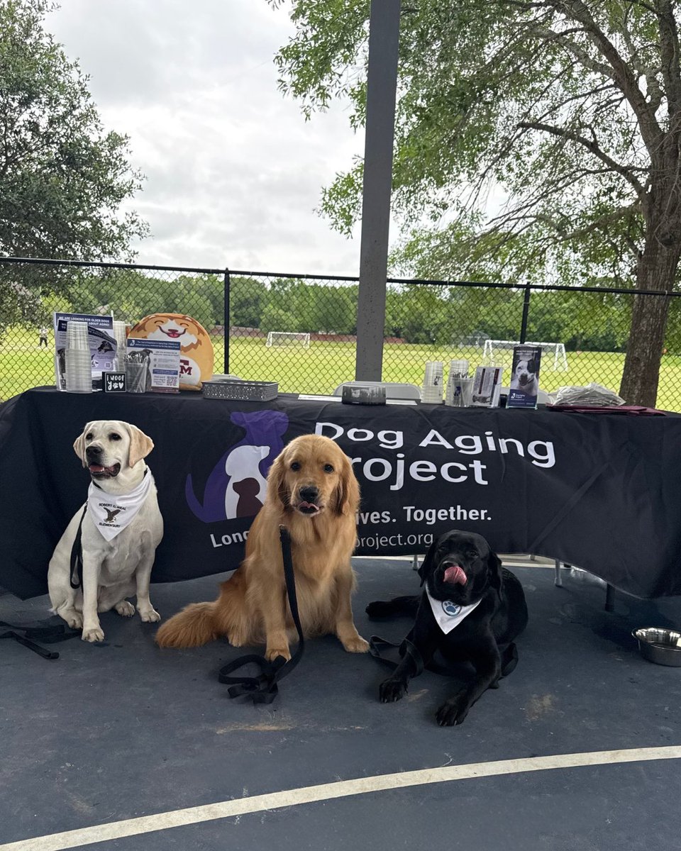 Dog Aging Project tweet media