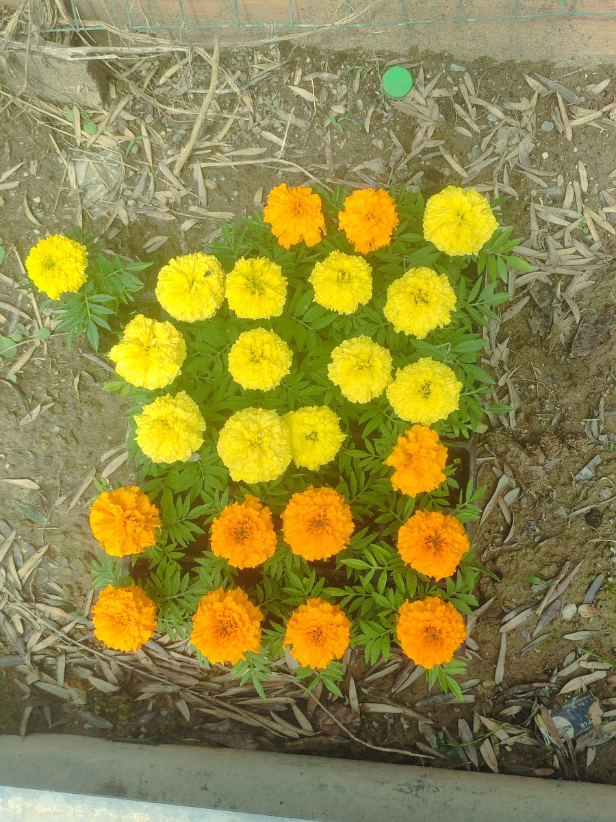 #KHKlınınYalnızlığıBitsin