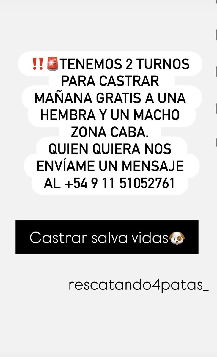 Rescatando4patas tweet media