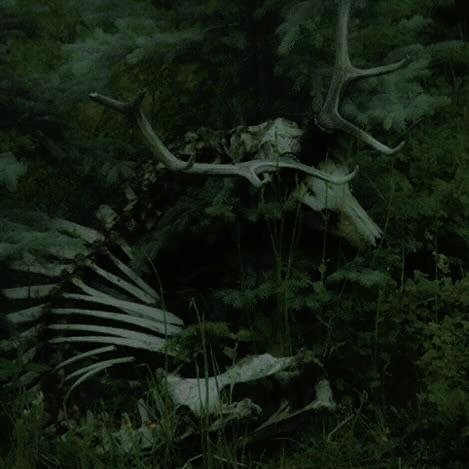 LastHxpeRol_'s tweet image. 𝐒𝐄 𝐁𝐔𝐒𝐂𝐀 𝐒𝐔𝐏𝐄𝐑𝐕𝐈𝐕𝐈𝐄𝐍𝐓𝐄 :

     └ ┋Alan Langdon
     └ ┋Zona de Cuarentena 1 ; Facción: Viajeros (asalto)
     └ ┋Clon Sombrío: puede solidificar su propia sombra y controlarla como a una marioneta
     └ ┋FC: Tom Blyth