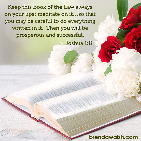 brendakwalsh's tweet image. Today's Daily Scripture Picture: Blueprint for Success
Joshua 1:8 – “Keep this Book of the Law always on your lips; meditate on it… so that you may be careful to do everything written in it. Then you will be prosperous and successful.”

#Christian #Christianity #verseoftheday